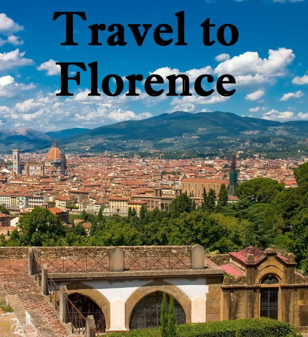 Big bigCover of Travel to Florence