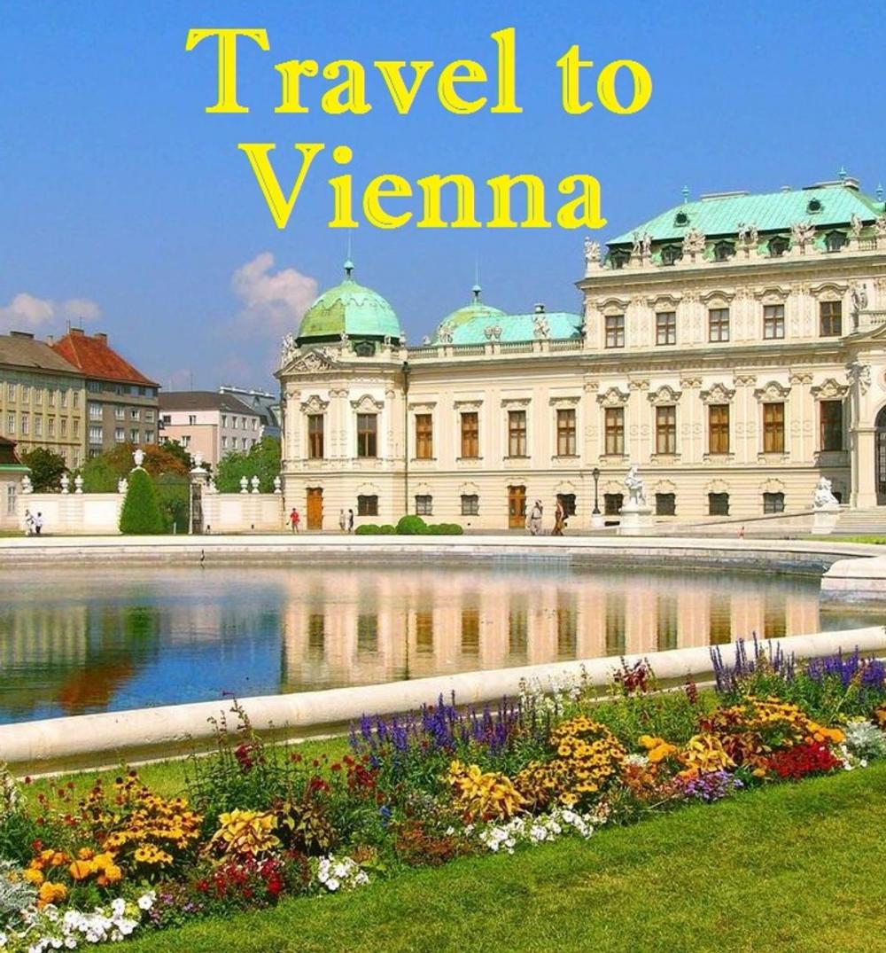 Big bigCover of Travel to Vienna