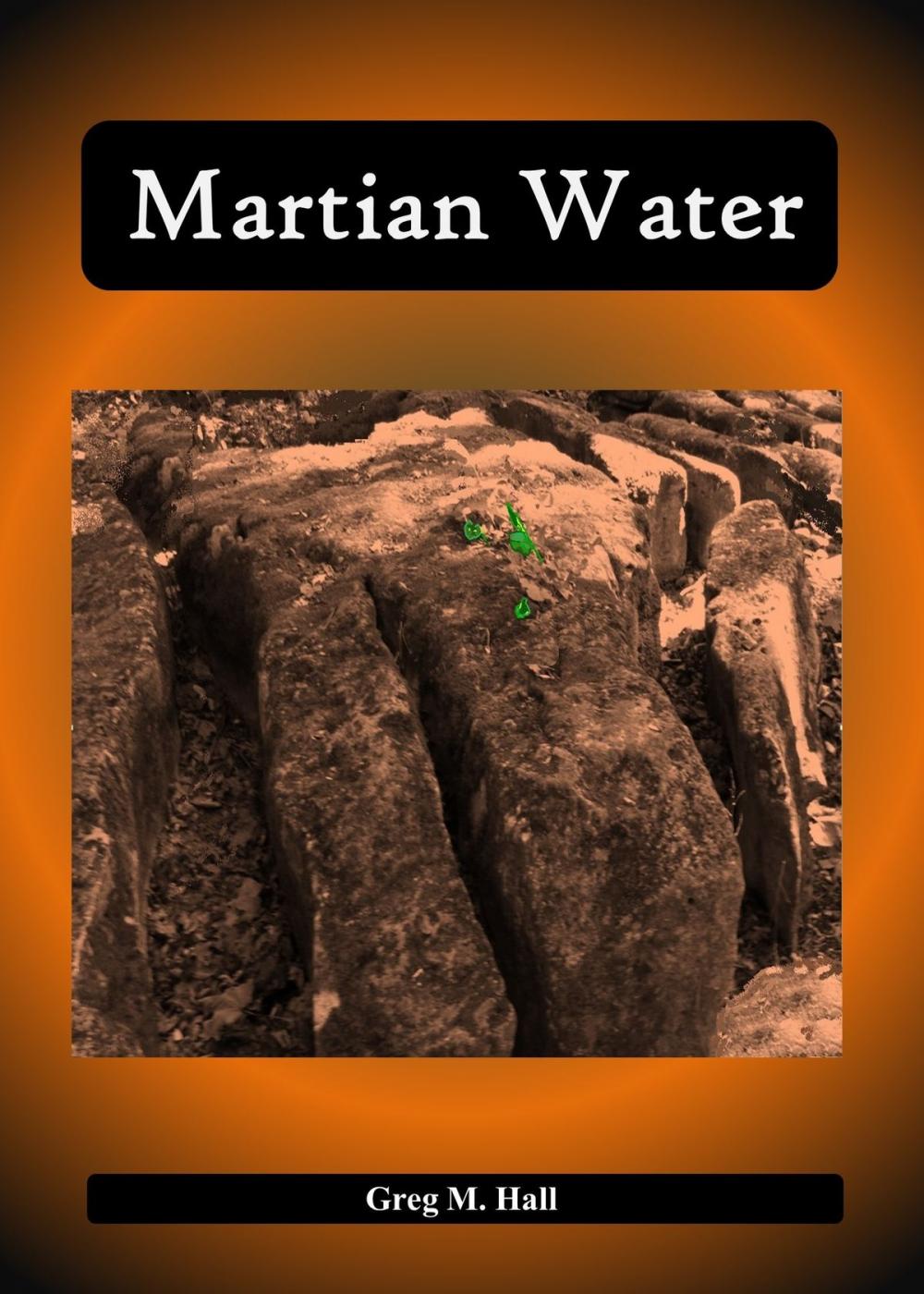 Big bigCover of Martian Water