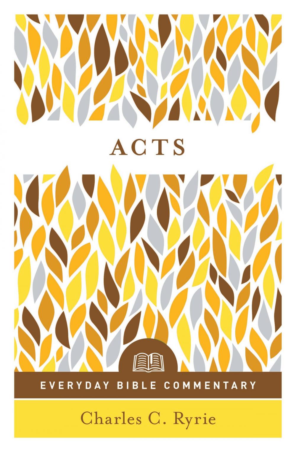 Big bigCover of Acts (Everyday Bible Commentary series)