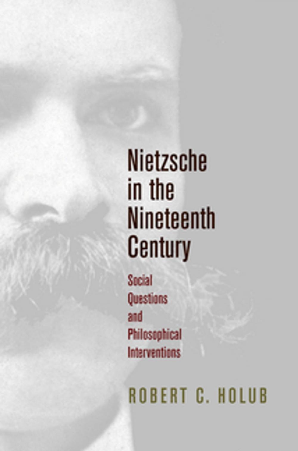 Big bigCover of Nietzsche in the Nineteenth Century