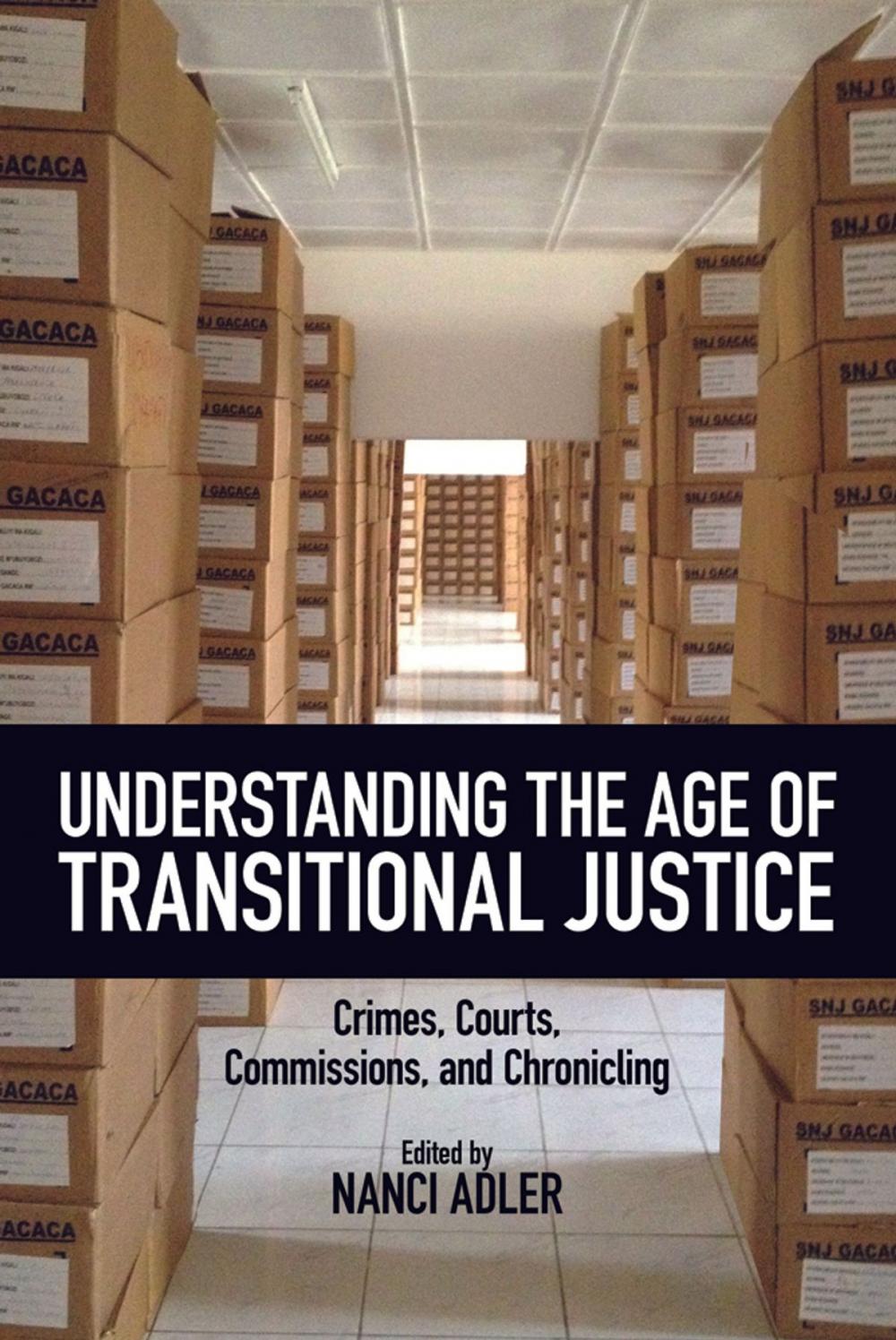 Big bigCover of Understanding the Age of Transitional Justice
