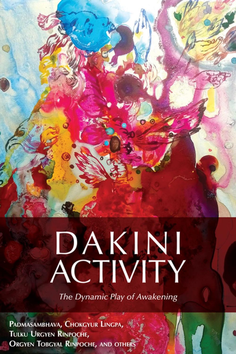 Big bigCover of Dakini Activity