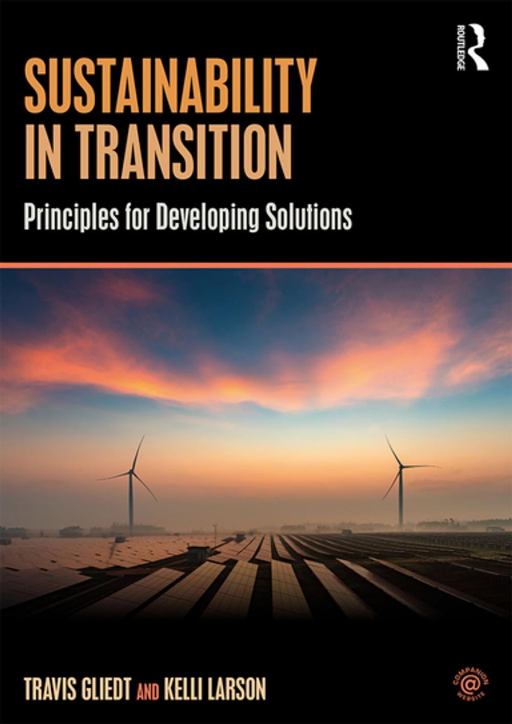 Big bigCover of Sustainability in Transition