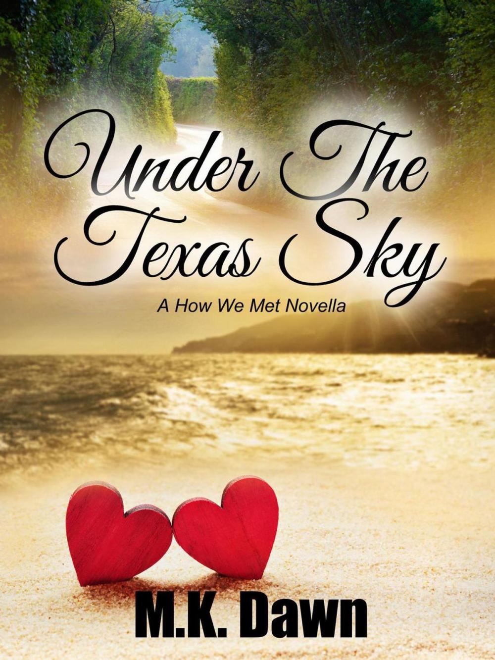 Big bigCover of Under the Texas Sky (A How We Met Novella)