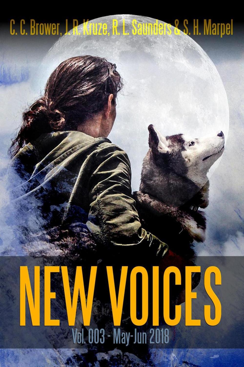 Big bigCover of New Voices Vol 003