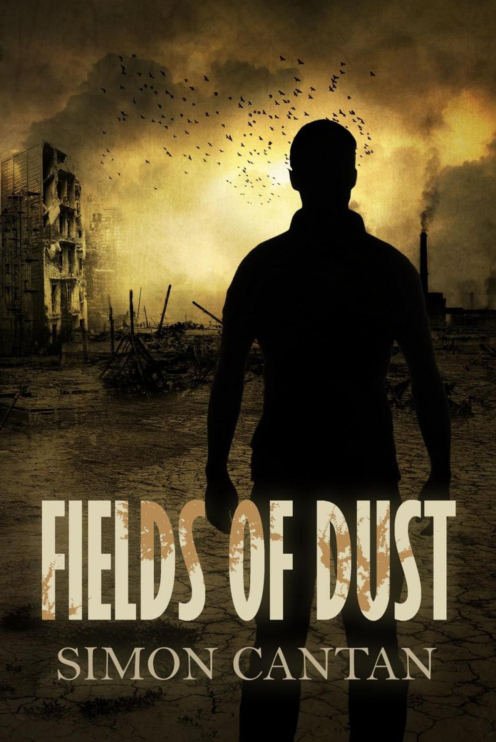 Big bigCover of Fields of Dust