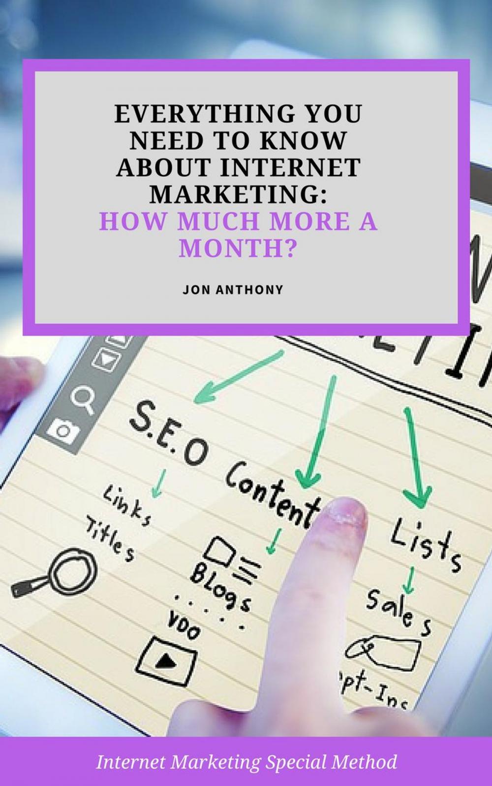 Big bigCover of Everything you Need to Know About Internet Marketing: How Much More a Month?