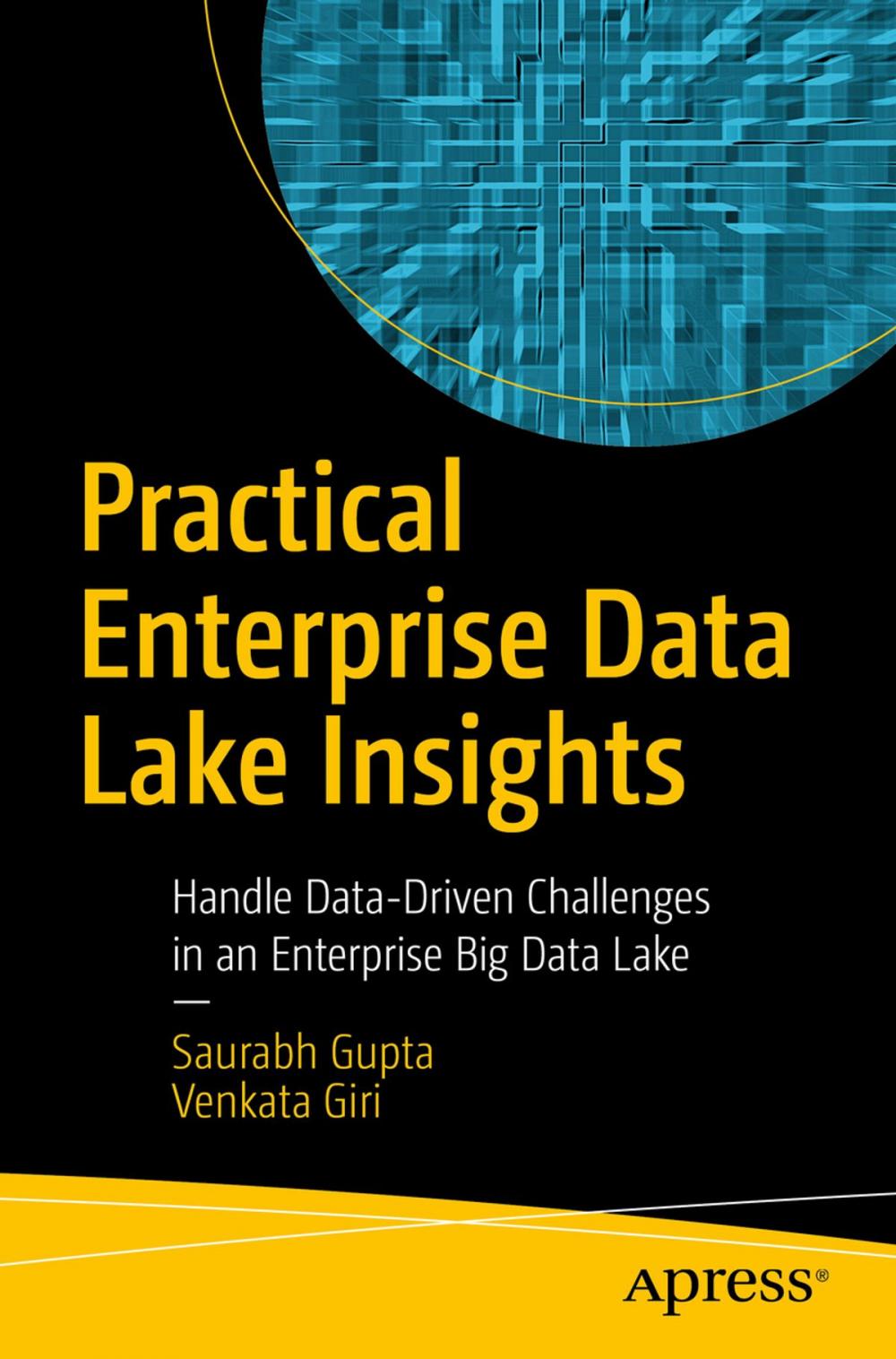 Big bigCover of Practical Enterprise Data Lake Insights