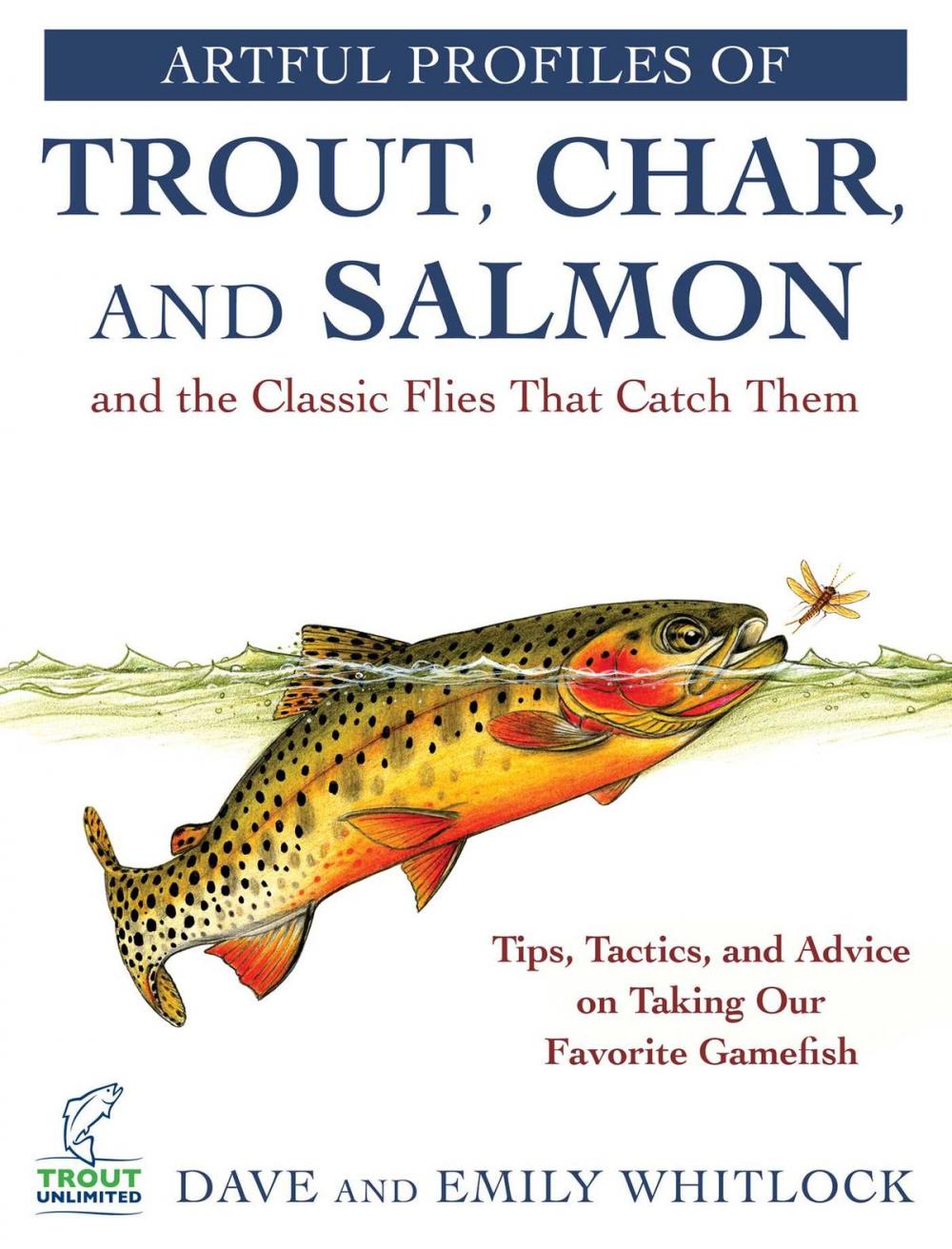 Big bigCover of Artful Profiles of Trout, Char, and Salmon and the Classic Flies That Catch Them