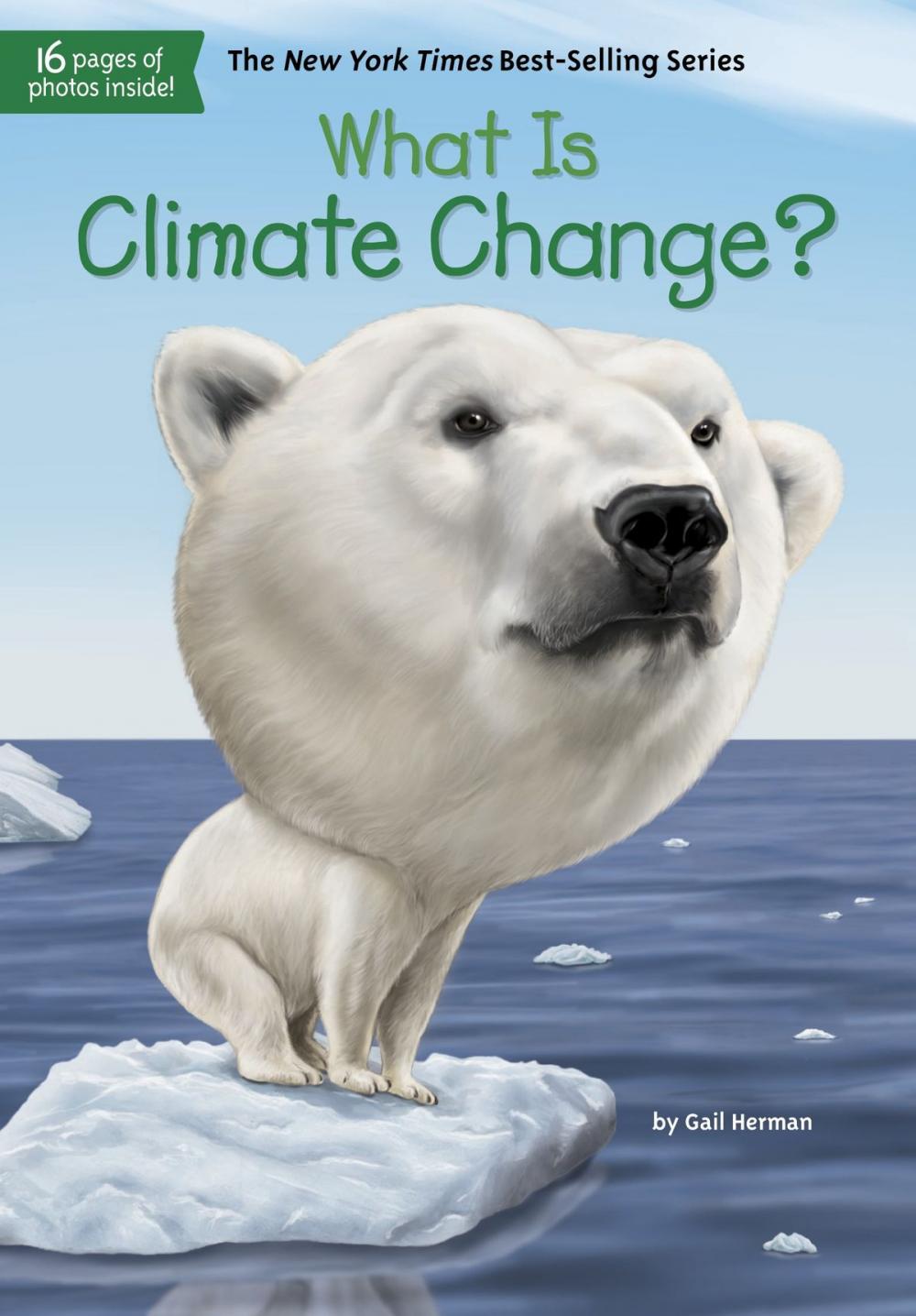 Big bigCover of What Is Climate Change?