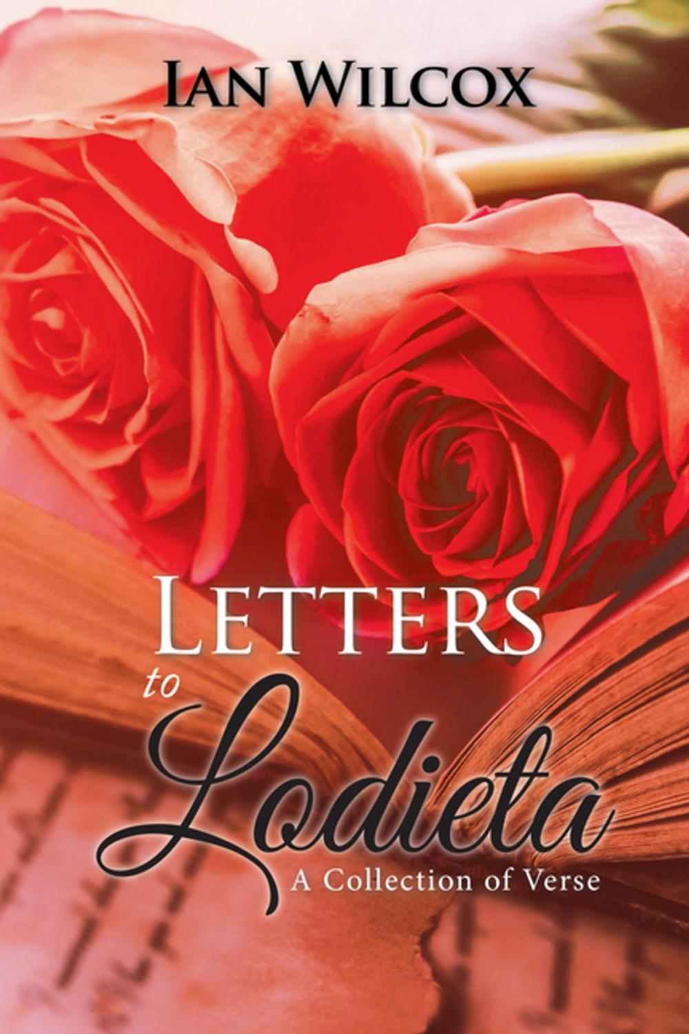 Big bigCover of Letters to Lodieta