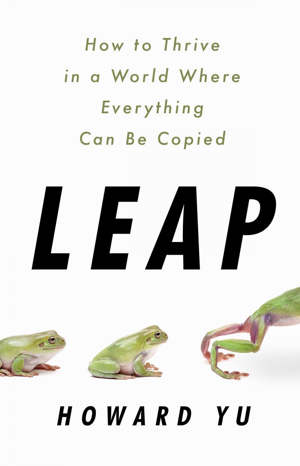 Big bigCover of Leap