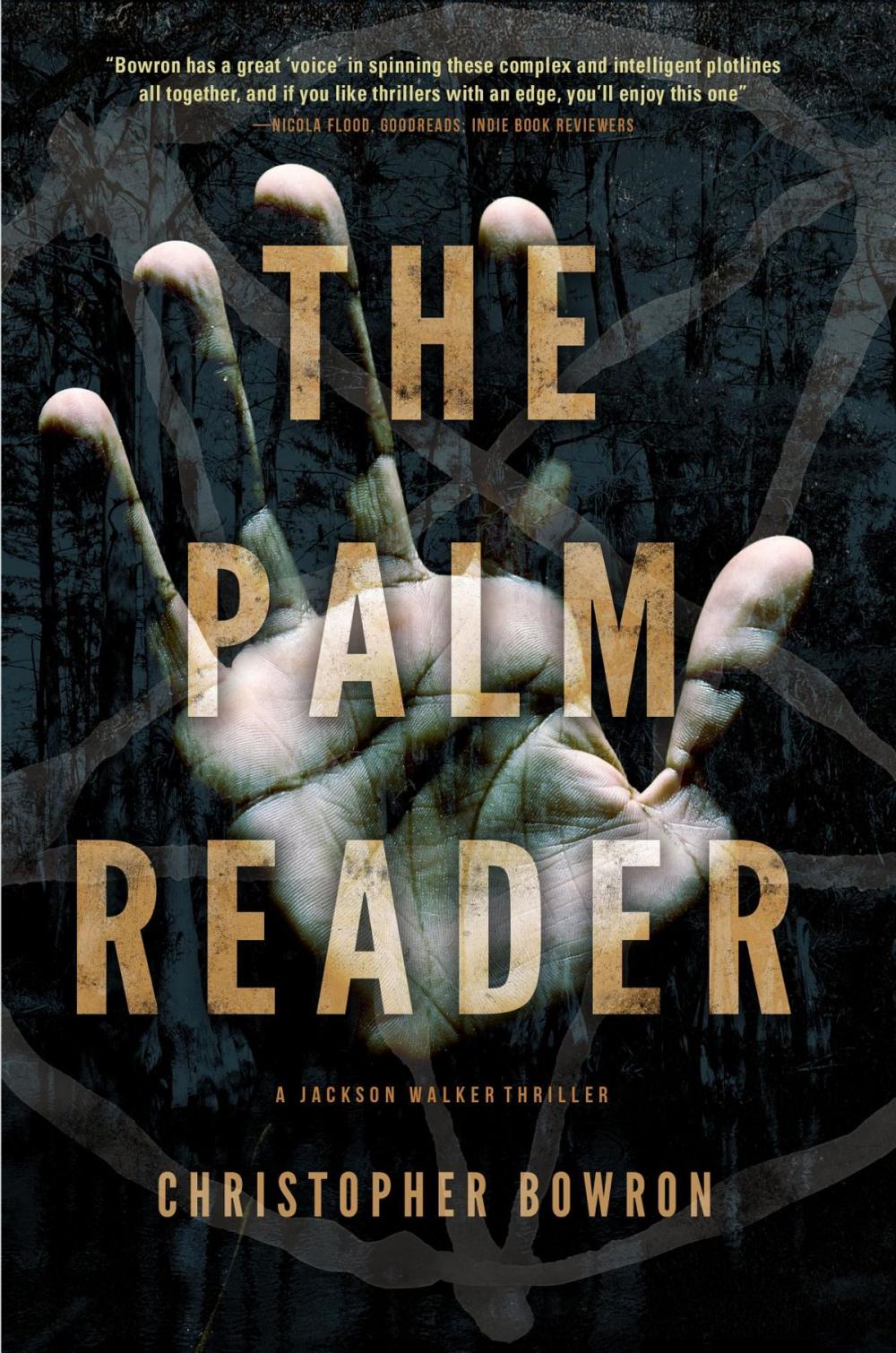 Big bigCover of The Palm Reader