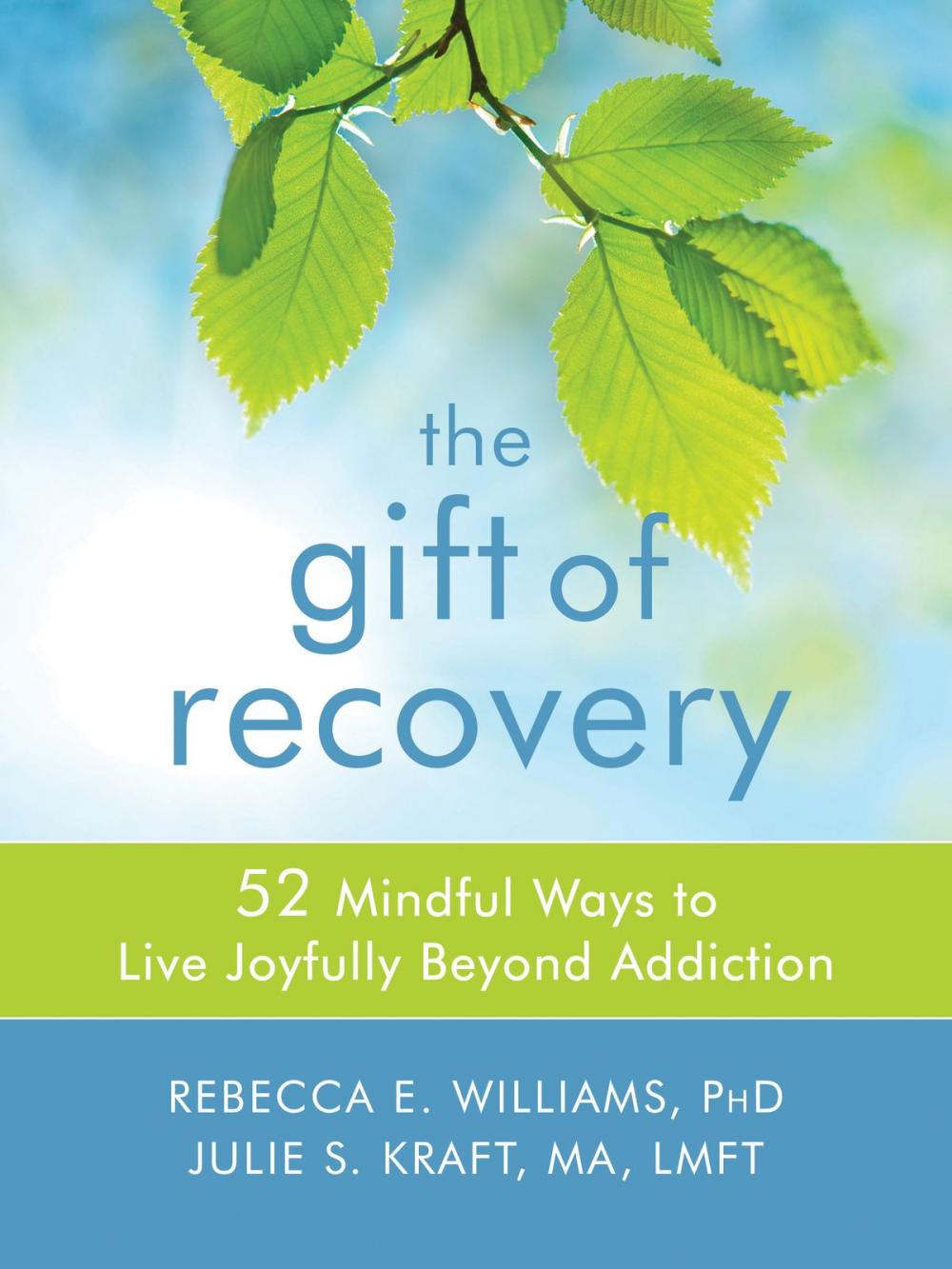 Big bigCover of The Gift of Recovery