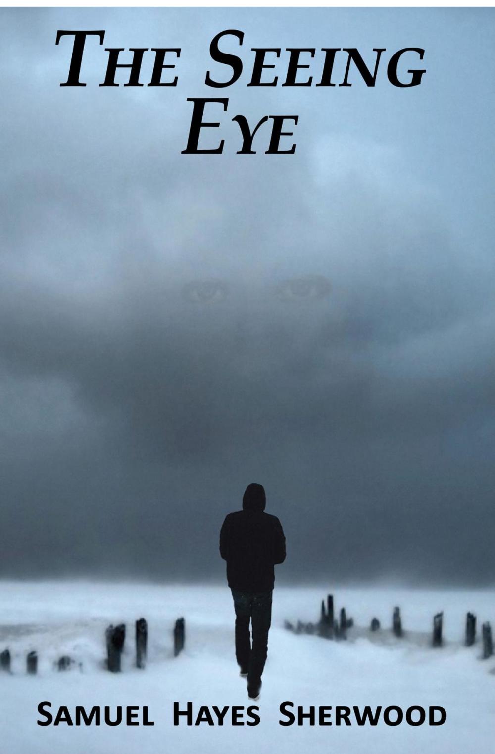 Big bigCover of The Seeing Eye