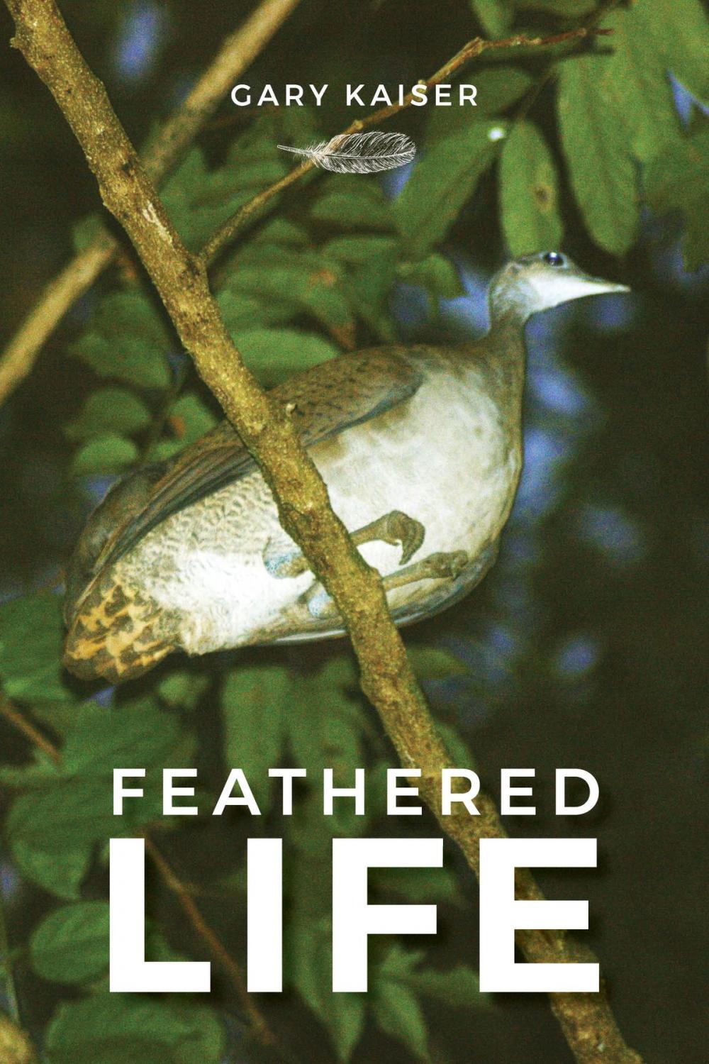 Big bigCover of Feathered Life