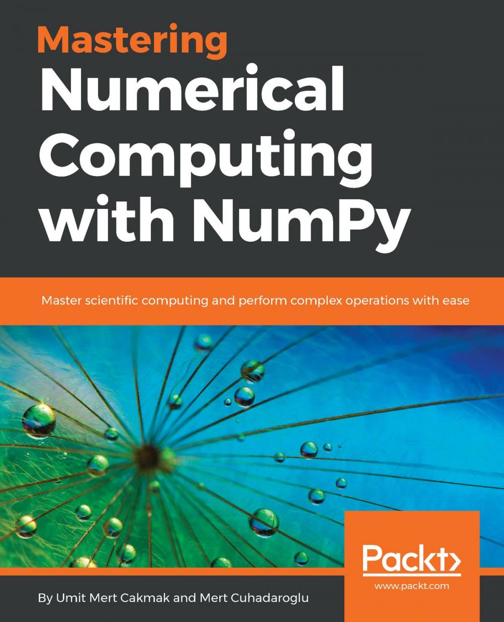 Big bigCover of Mastering Numerical Computing with NumPy