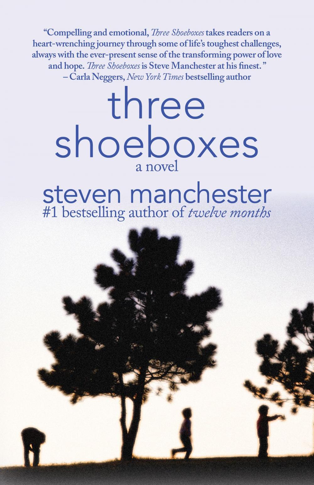 Big bigCover of Three Shoeboxes