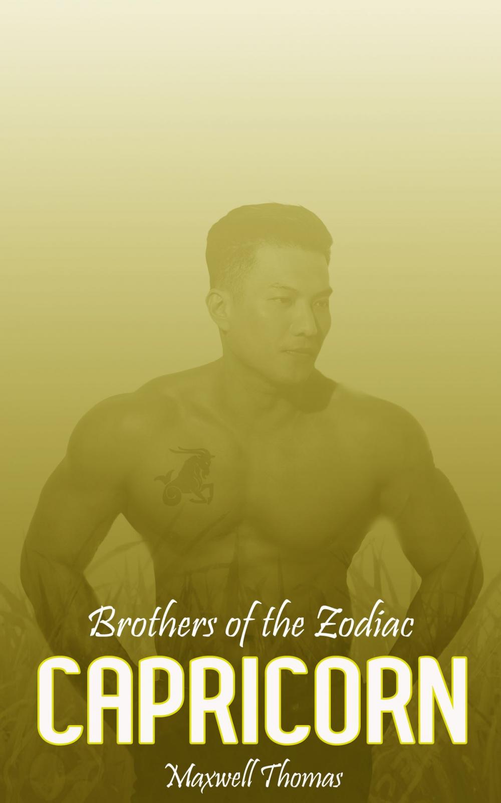 Big bigCover of Brothers of the Zodiac: Capricorn