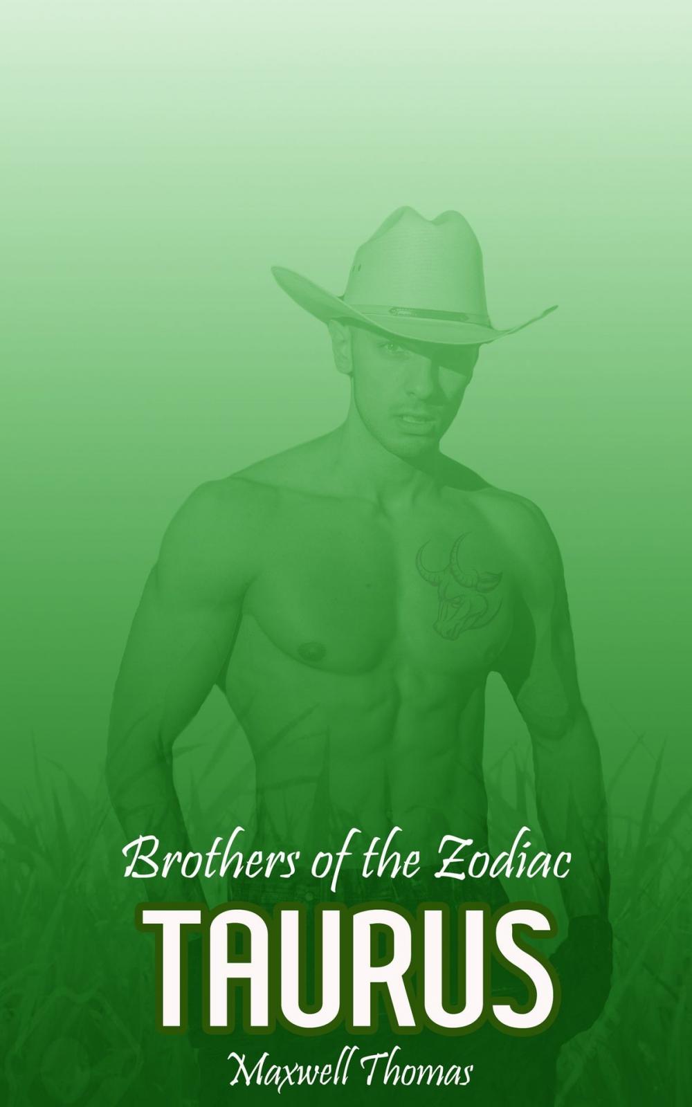 Big bigCover of Brothers of the Zodiac: Taurus