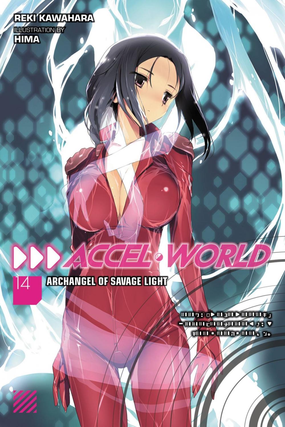 Big bigCover of Accel World, Vol. 14 (light novel)