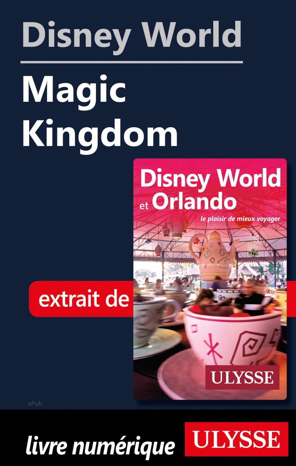 Big bigCover of Disney World - Magic Kingdom
