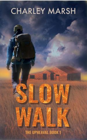 bigCover of the book Slow Walk by 