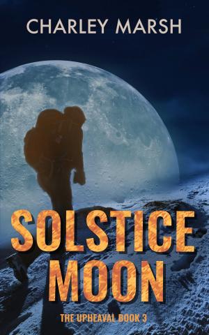 bigCover of the book Solstice Moon by 