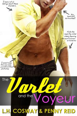Book cover of The Varlet and the Voyeur