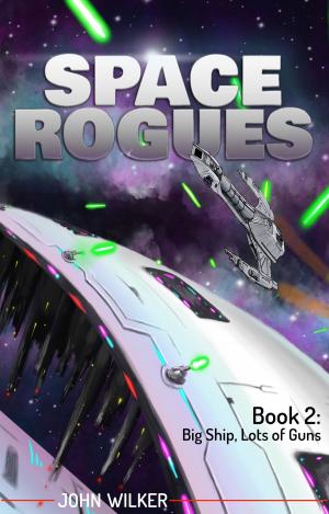 Cover of the book Big Ship, Lots of Guns by Flint Reginald