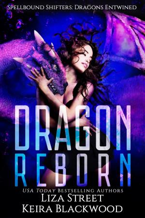 Cover of the book Dragon Reborn by SJ Harper