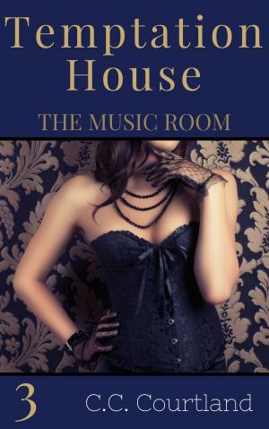 Book cover of The Music Room