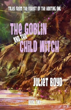 Book cover of The Goblin and the Child Witch