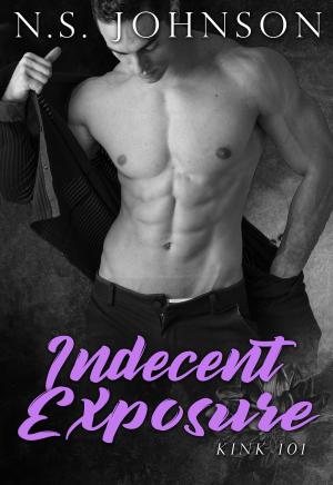 Book cover of Indecent Exposure