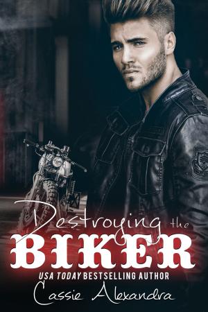 Cover of the book Destroying the Biker by Chris Myers