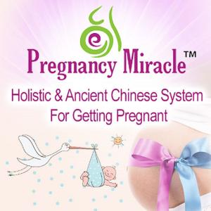 bigCover of the book Pregnancy Miracle Review PDF eBook Book Free Download by 