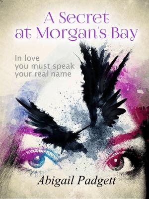 Book cover of A Secret at Morgan's Bay
