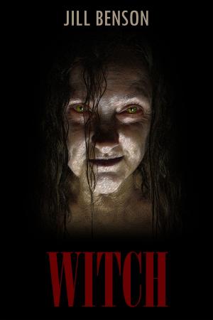 Cover of the book Witch by Erin Klitzke