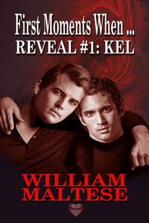 Cover of the book Kel by S.J. Frost
