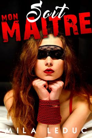 Cover of the book Soit MON MAÎTRE ! by Lydia Litt