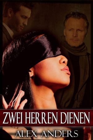 Cover of the book Zwei Herren Dienen by Sophia Winter