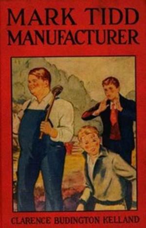 Cover of the book Mark Tidd, Manufacturer by George Manville Fenn