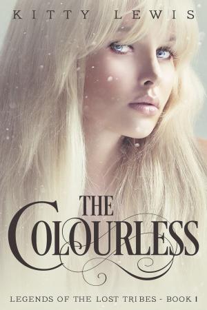 Cover of the book The Colourless by Jae Jordon