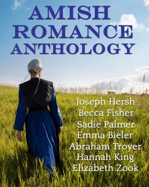 Book cover of Amish Romance Anthology