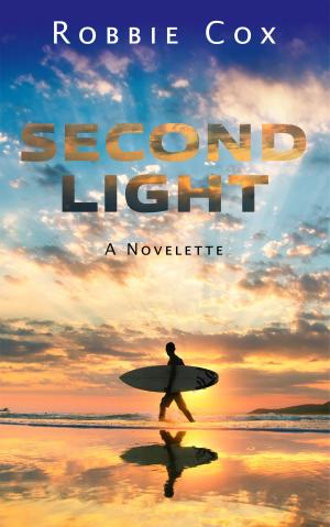 Cover of the book Second Light by Amanda M. Douglas