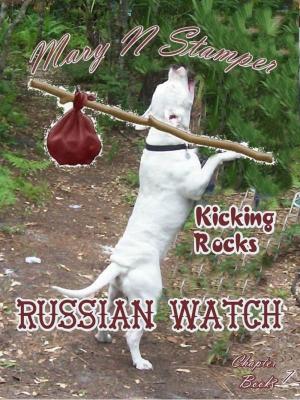Cover of Kicking Rocks