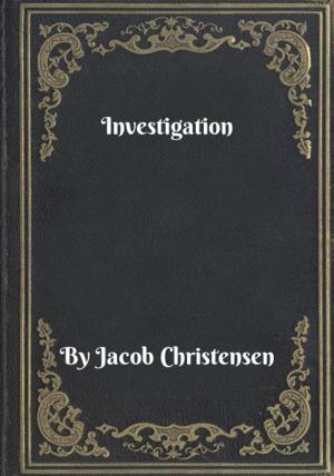 Cover of the book Investigation by R. R. Irvine