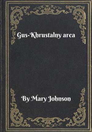Cover of the book Gus-Khrustalny area by Adrian McKinty