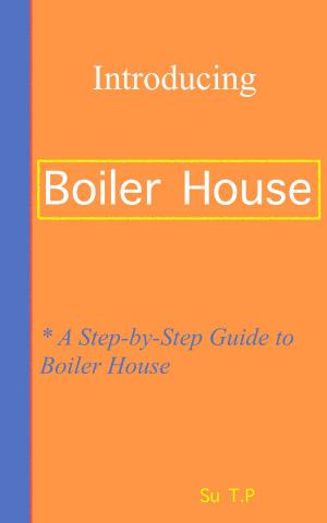 Book cover of Introducing Boiler House